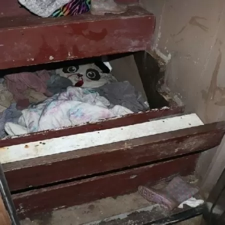 Criança sumida há 2 anos é achada viva sob escada; pais são investigados