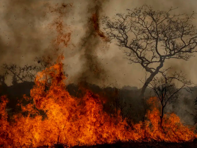 Desastres climáticos aumentaram 250% nos últimos quatro anos no país