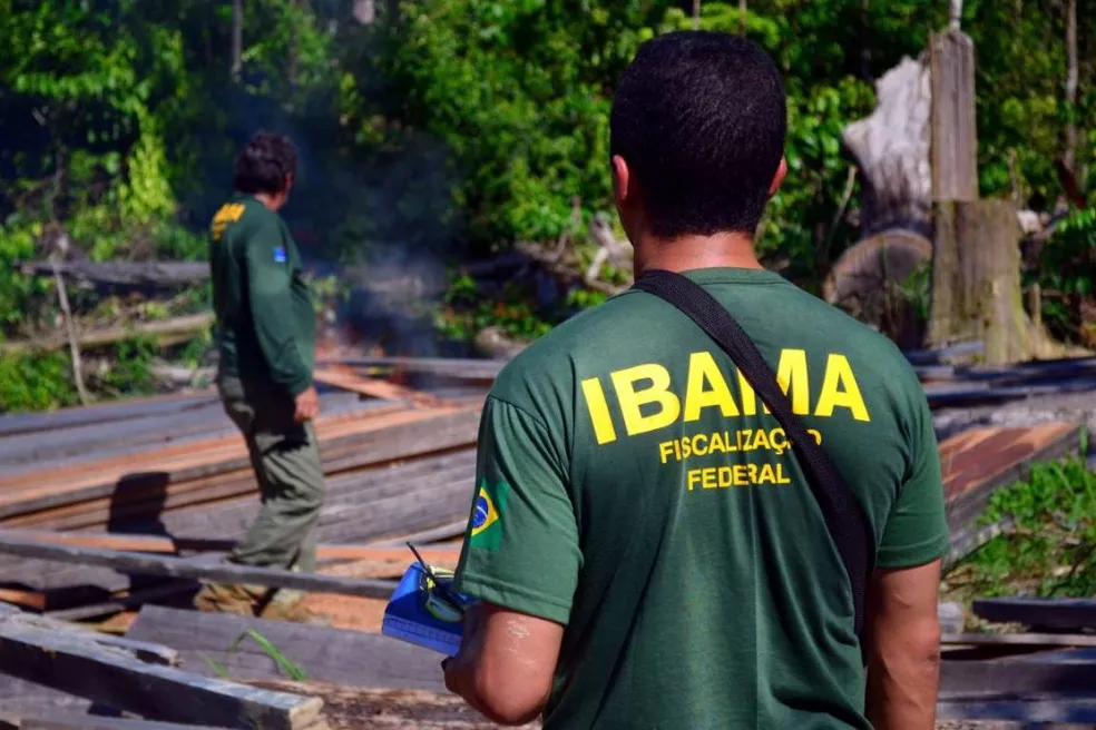 Ibama lança concurso com salários a partir de R$9.994,6