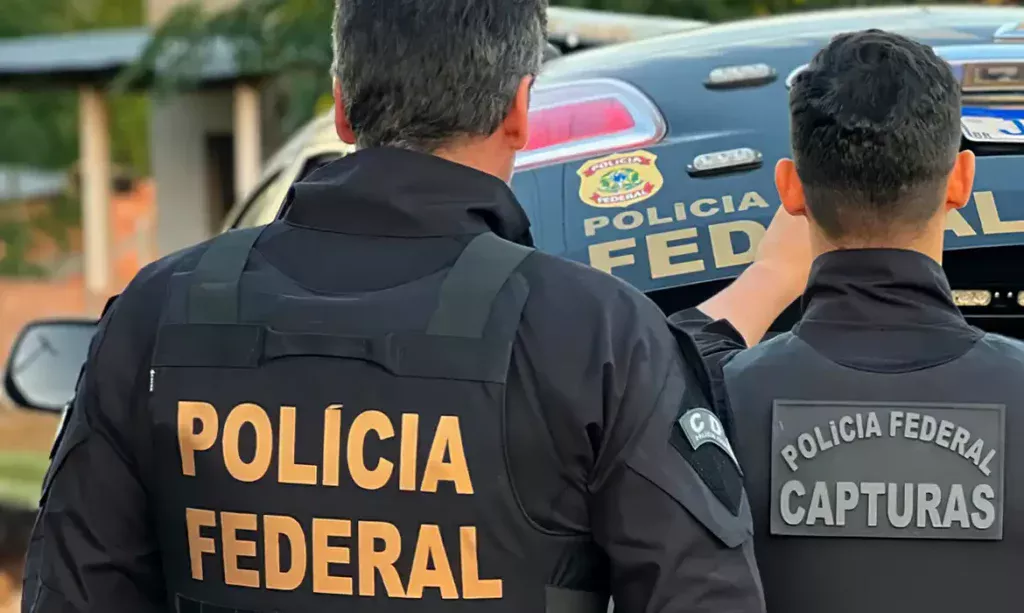 Aves silvestres apreendidas pela PF em operação no Aeroporto de Guarulhos, em São Paulo - Foto: Polícia Federal/divulgação