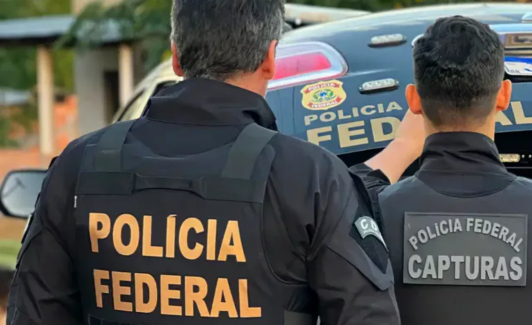 Aves silvestres apreendidas pela PF em operação no Aeroporto de Guarulhos, em São Paulo - Foto: Polícia Federal/divulgação